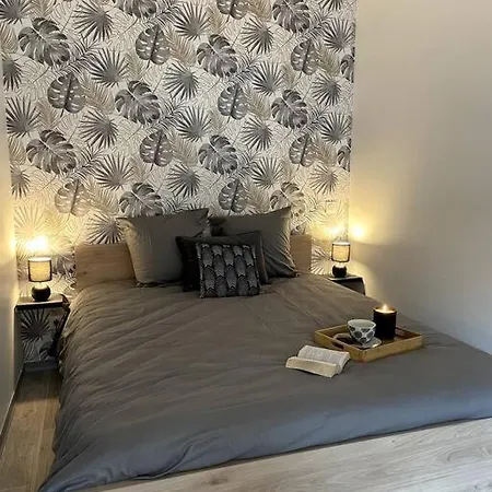 Appartamento Bel Sur Cour Plein Centre Et Parking *