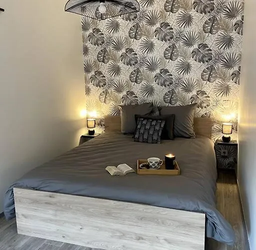 Apartment Bel Sur Cour Plein Centre Et Parking Moulins (Allier)